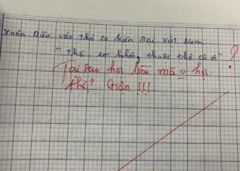 Lời phê hờn dỗi của cô giáo dạy Văn