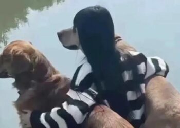 ‘Tăng xông’ khi nhờ người yêu chụp ảnh