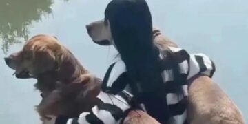 ‘Tăng xông’ khi nhờ người yêu chụp ảnh