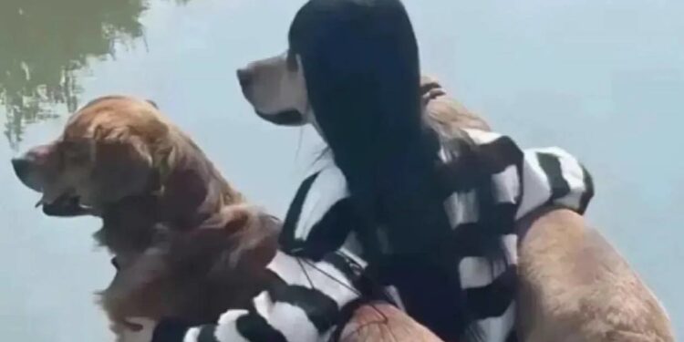 ‘Tăng xông’ khi nhờ người yêu chụp ảnh